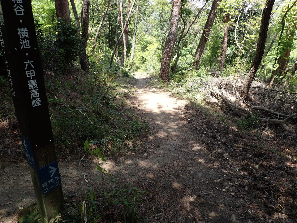 P5034209_mid.jpg