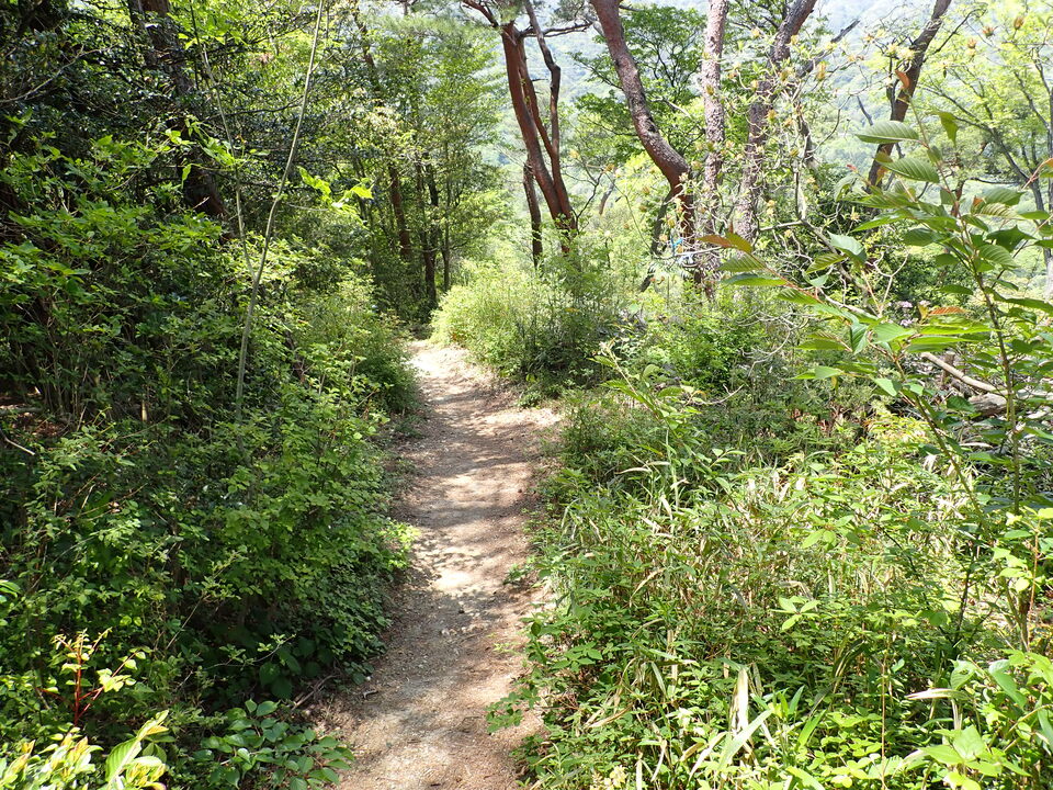 P5034216_mid.jpg