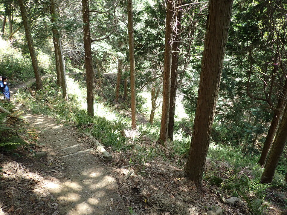P5034249_mid.jpg