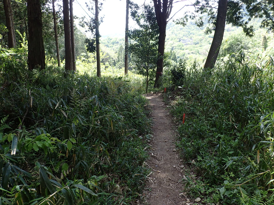 P5034262_mid.jpg