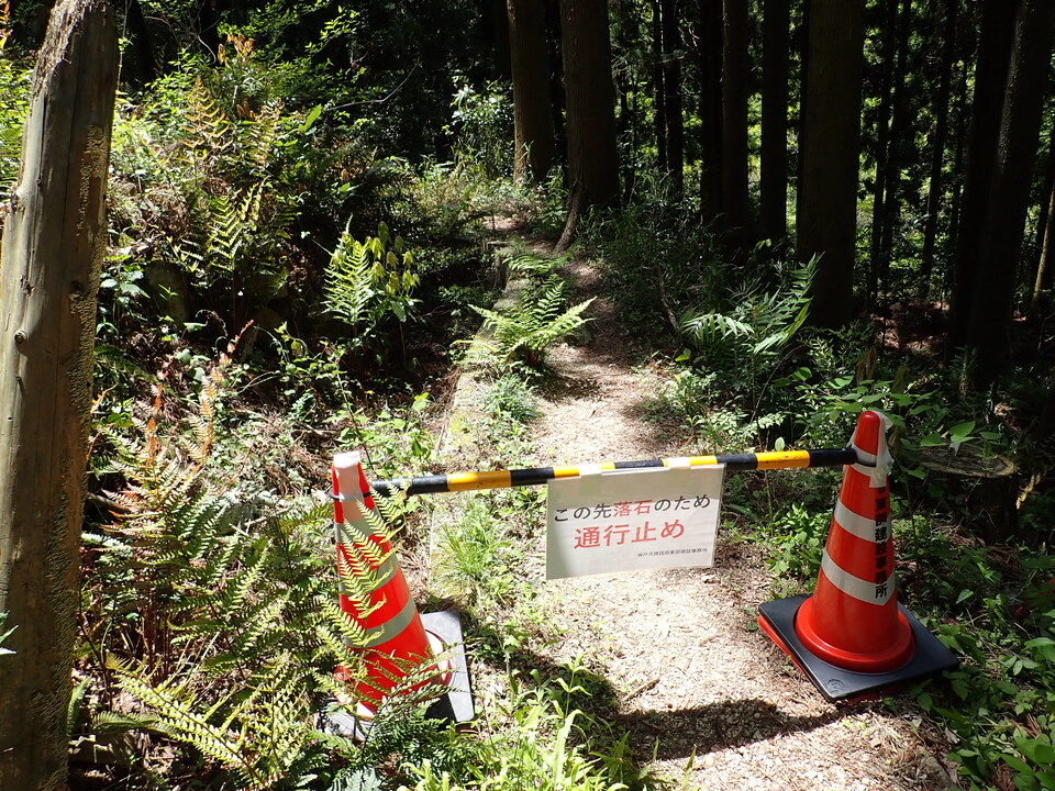 P5034270_mid.jpg