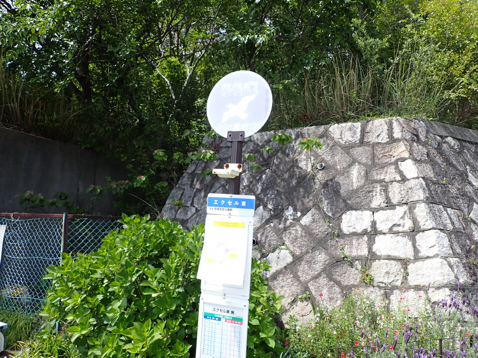 P5034299_mid.jpg