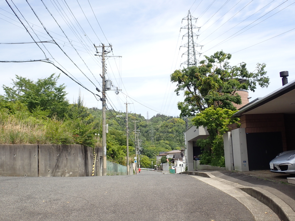 P5034303_mid.jpg