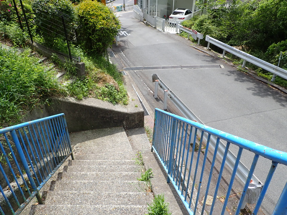 P5034311_mid.jpg