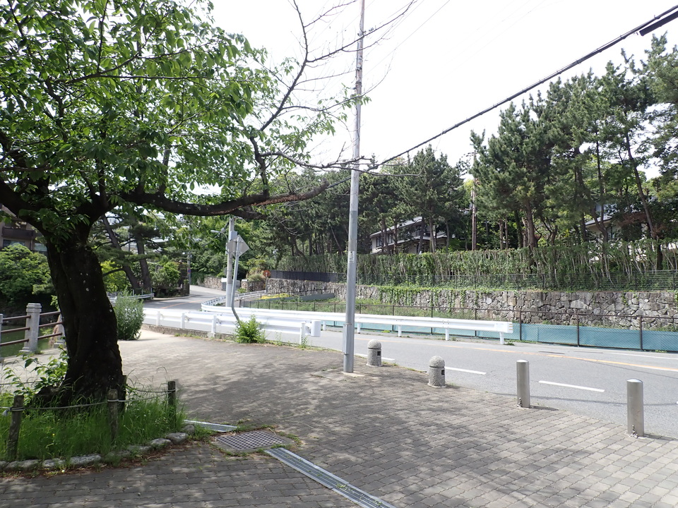 P5034315_mid.jpg