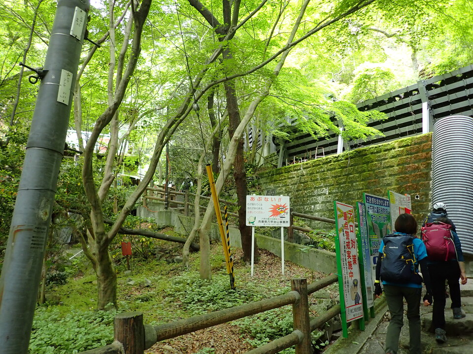 P5054344_mid.jpg