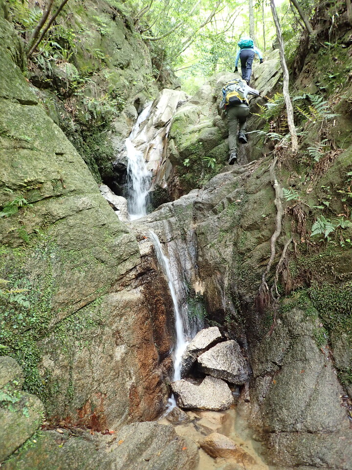 P5054364_mid.jpg