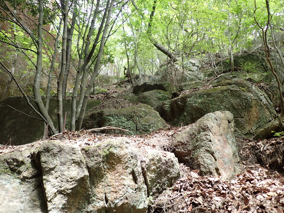P5054418_mid.jpg