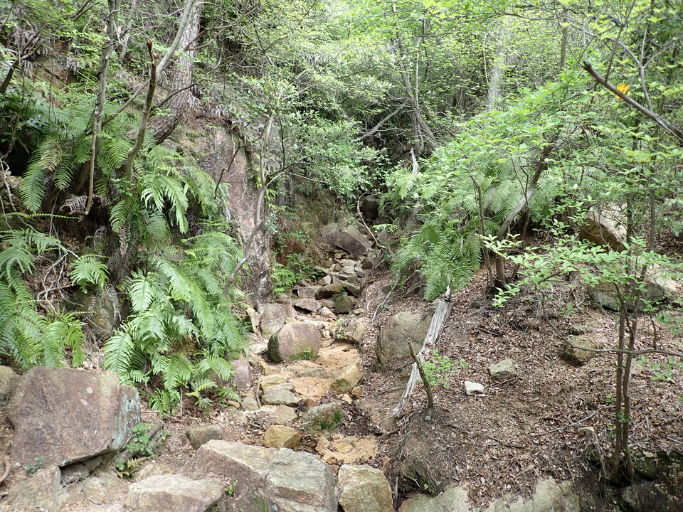 P5054423_mid.jpg