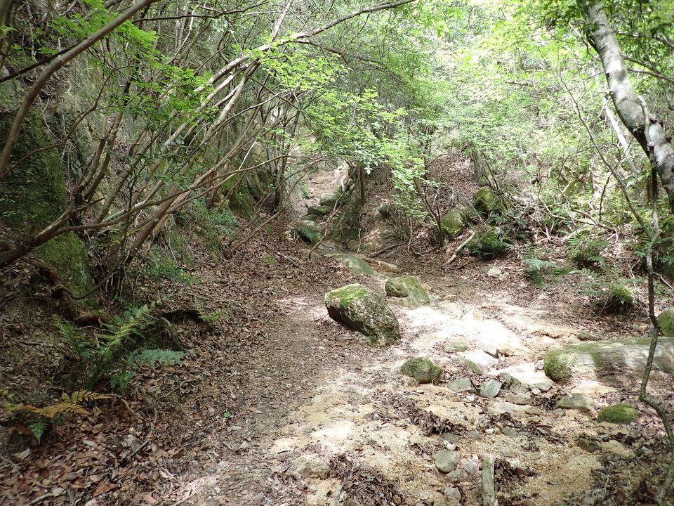 P5054441_mid.jpg