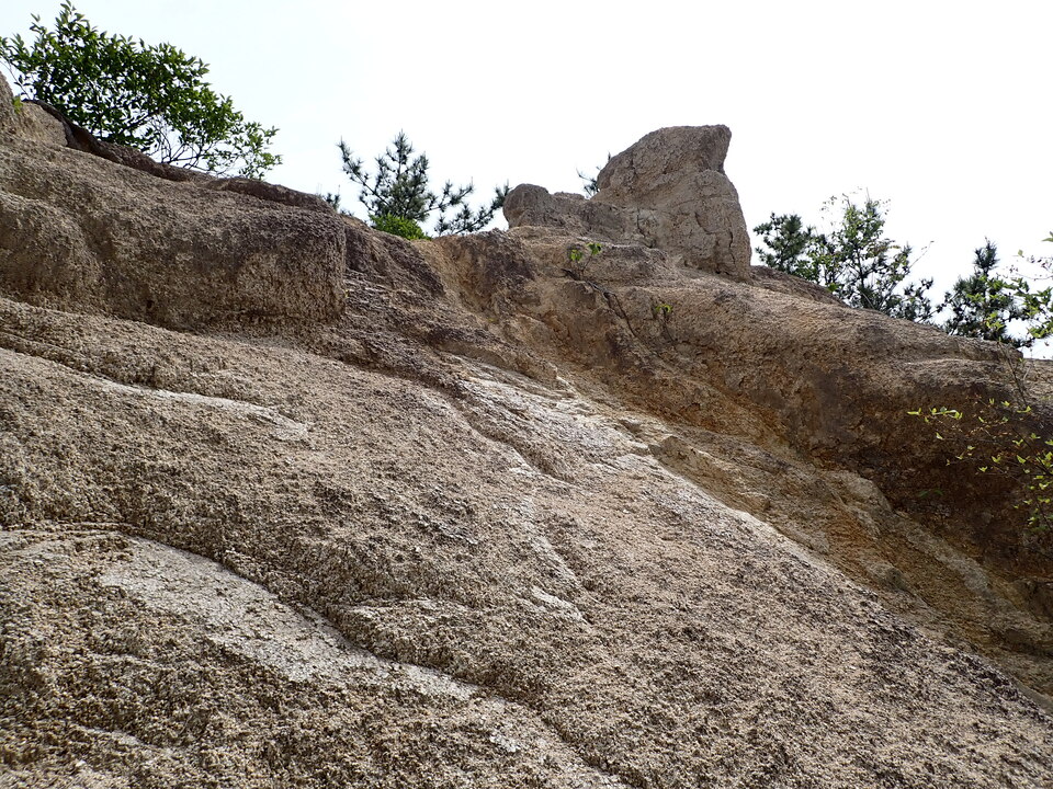 P5054476_mid.jpg