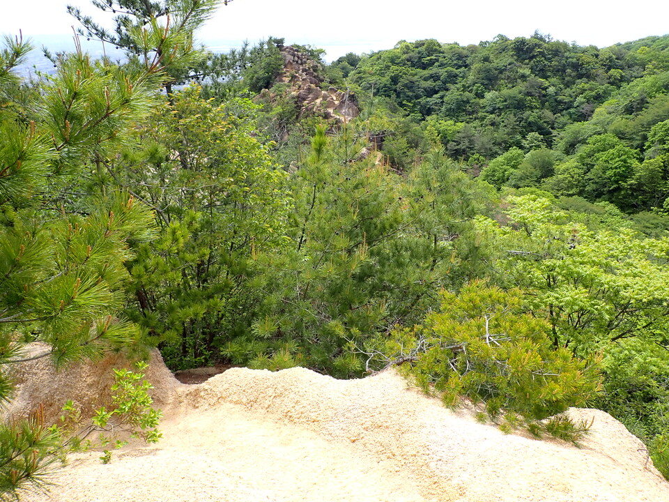P5054489_mid.jpg