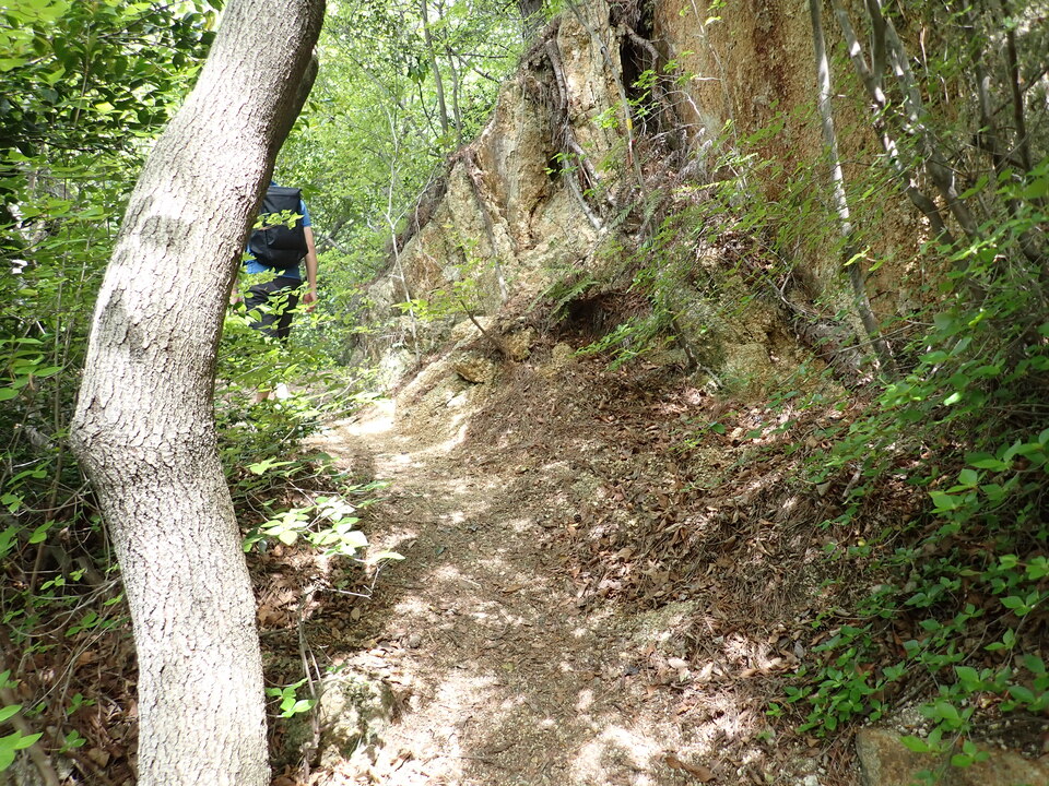 P5054522_mid.jpg
