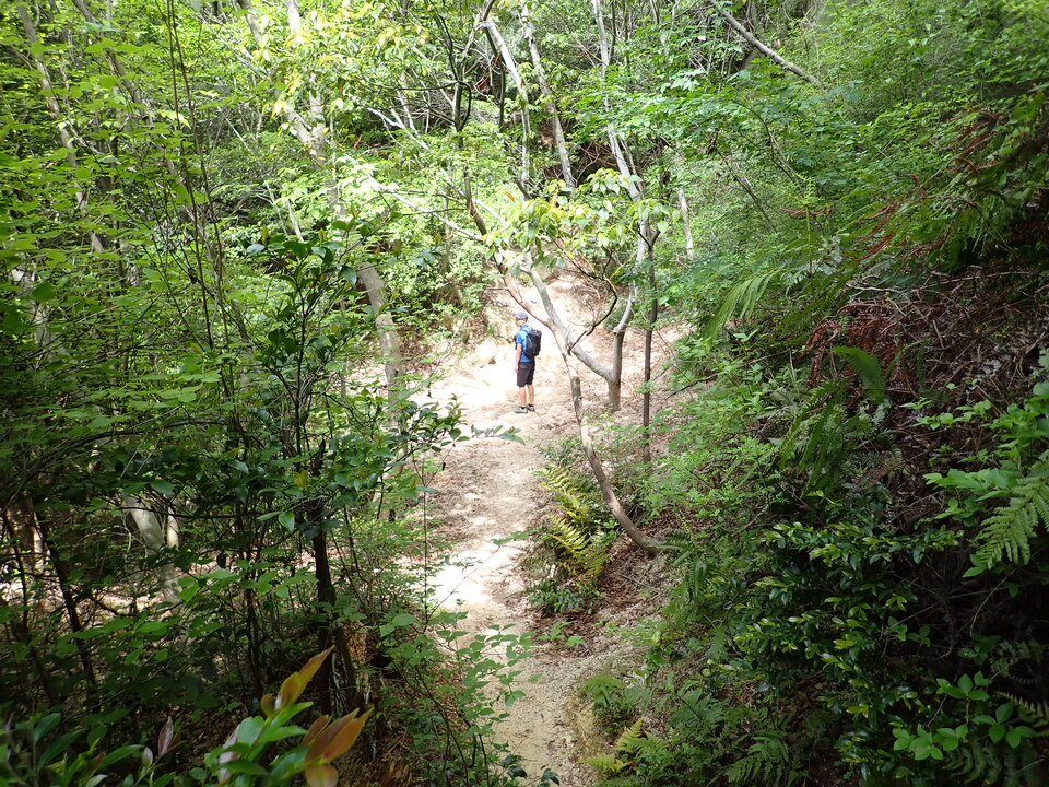P5054527_mid.jpg