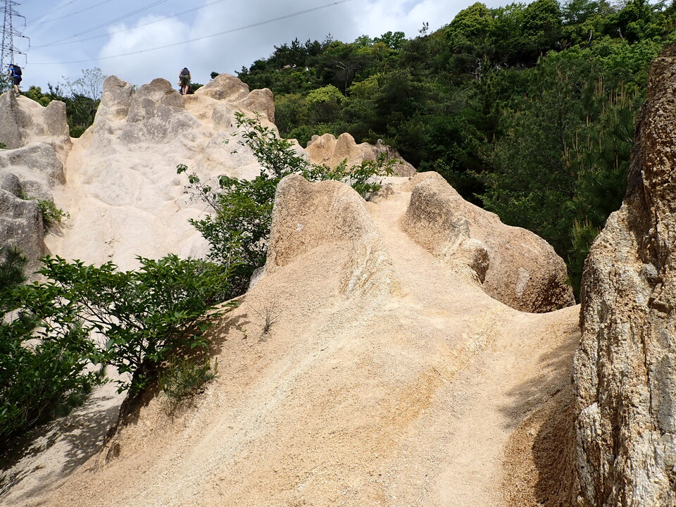 P5054549_mid.jpg