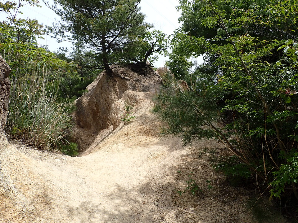 P5054550_mid.jpg