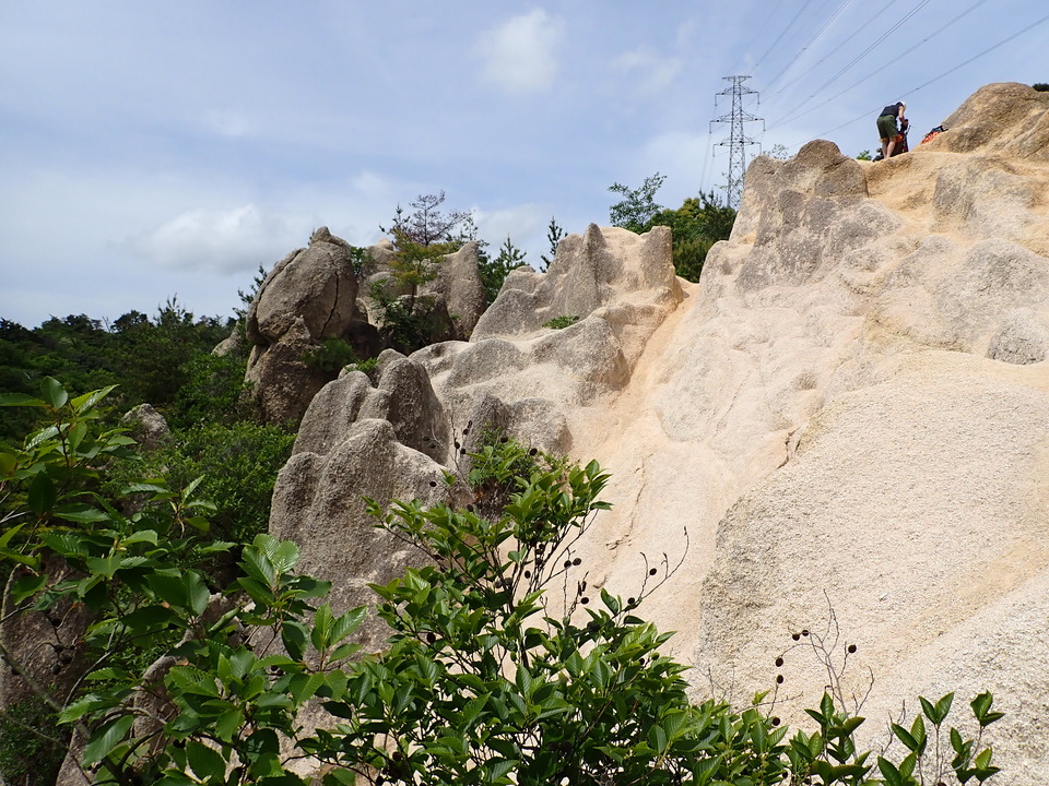 P5054557_mid.jpg