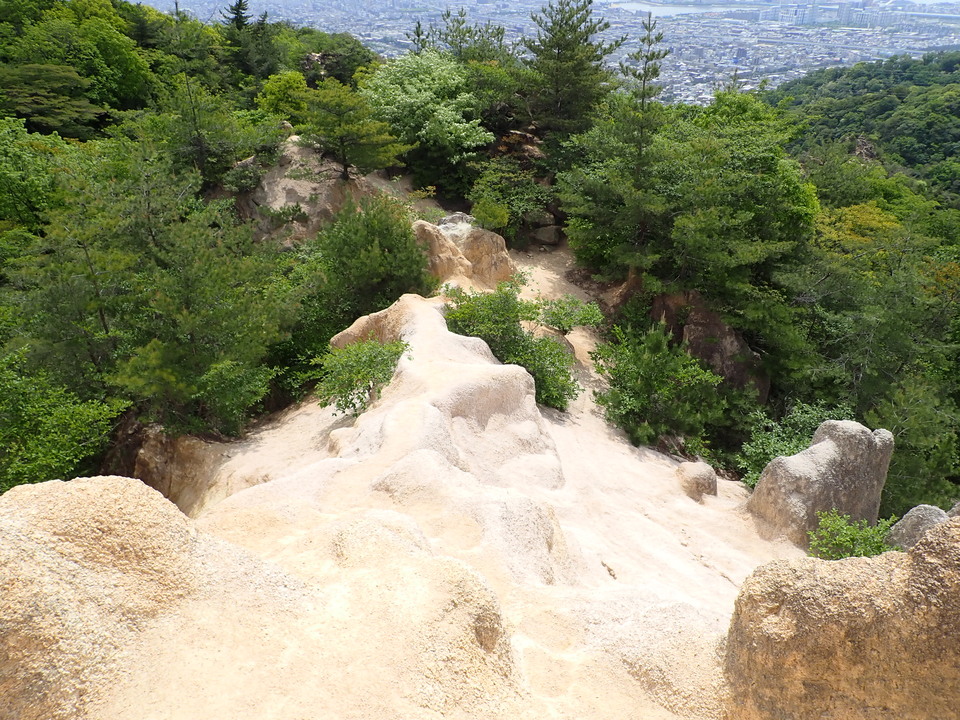 P5054568_mid.jpg
