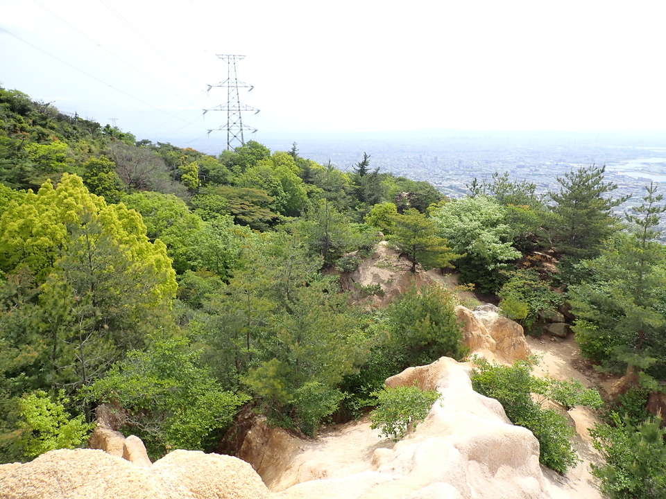 P5054570_mid.jpg
