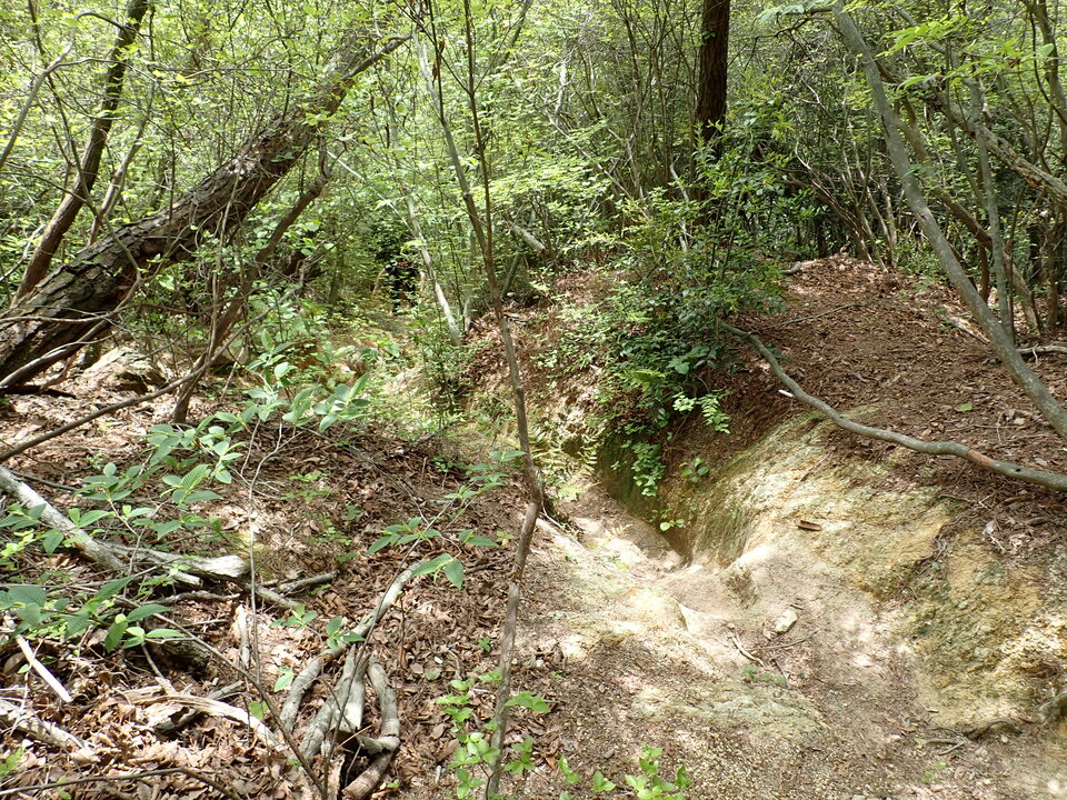 P5054590_mid.jpg
