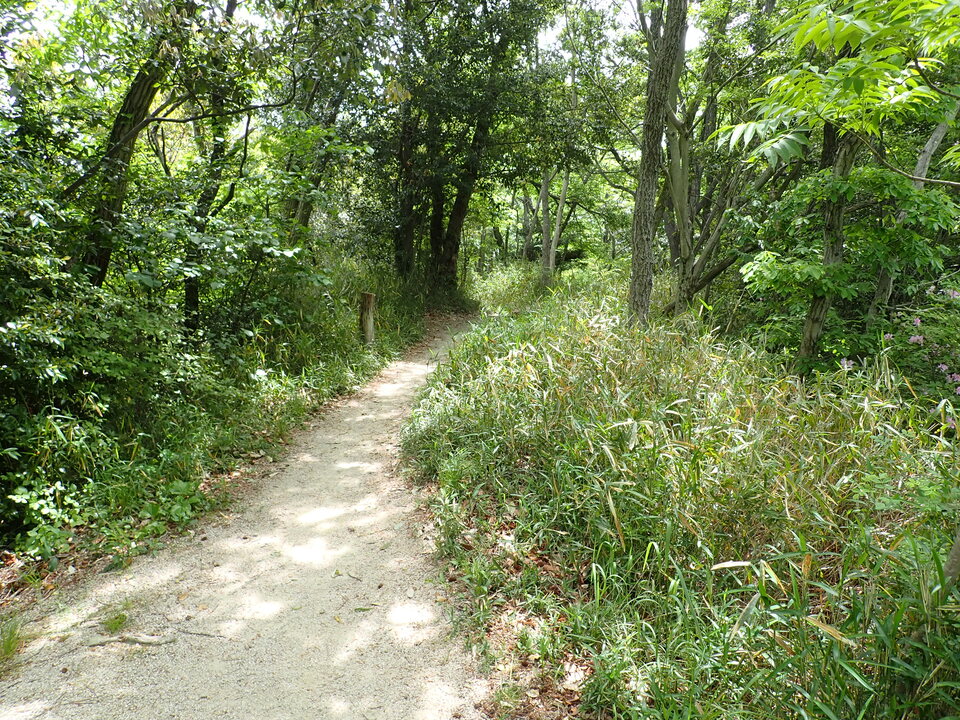 P5054638_mid.jpg