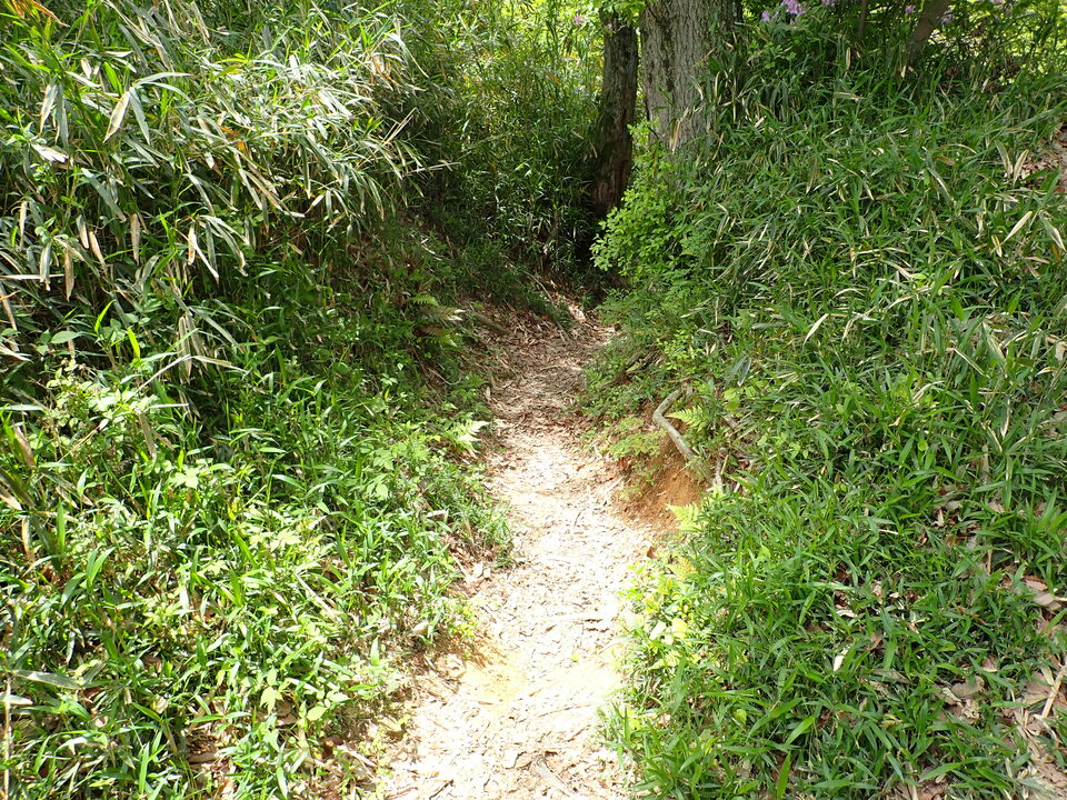 P5054669_mid.jpg