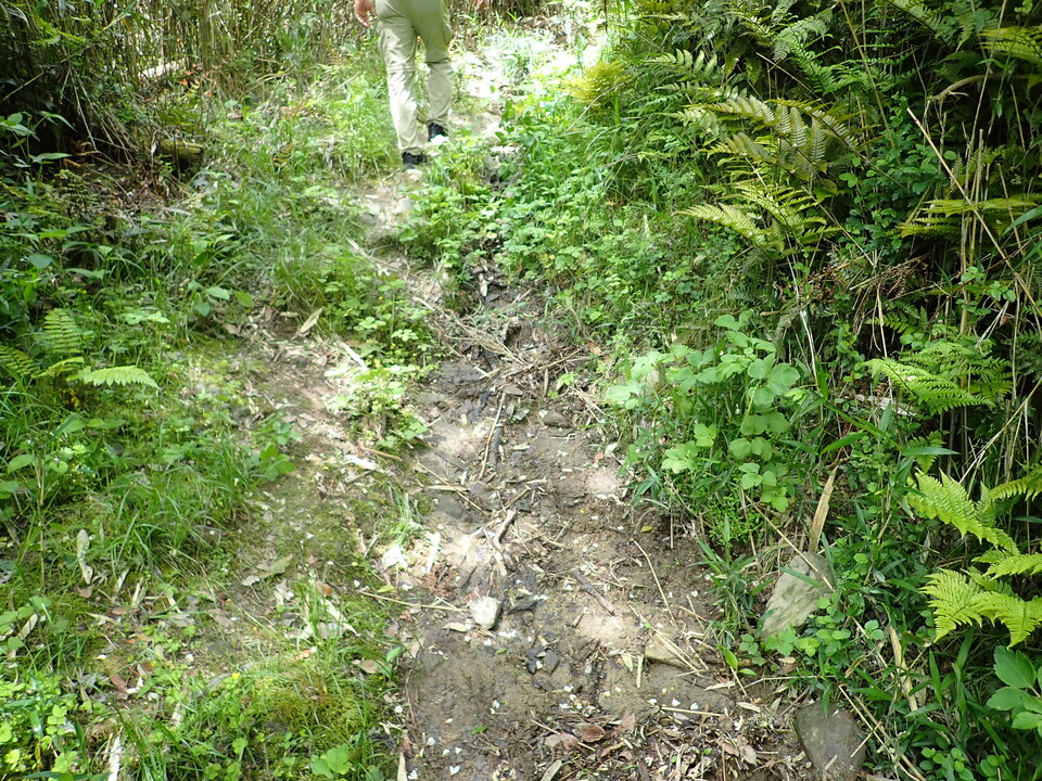 P5054675_mid.jpg