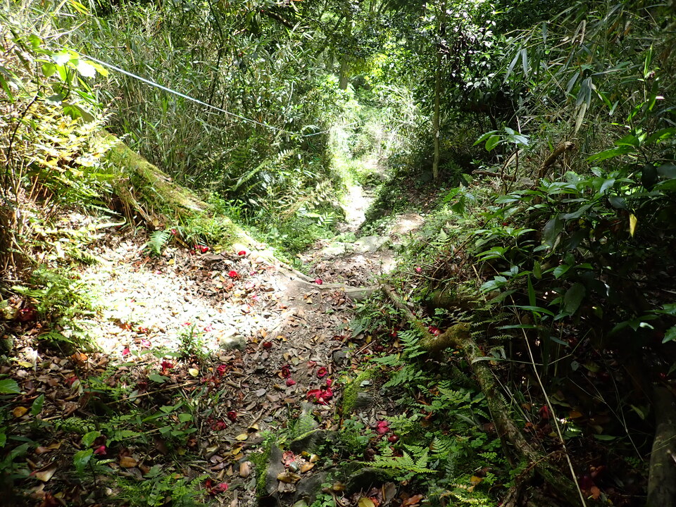 P5054676_mid.jpg