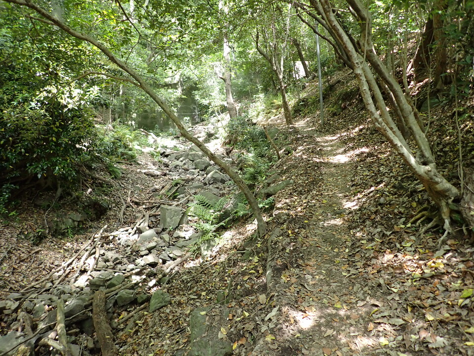 P5054695_mid.jpg
