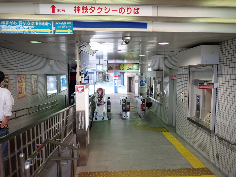 P6174911_mid.jpg
