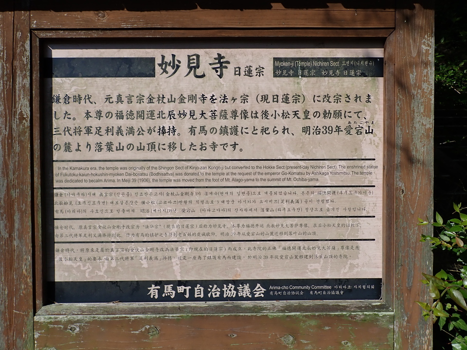 P6174935_mid.jpg