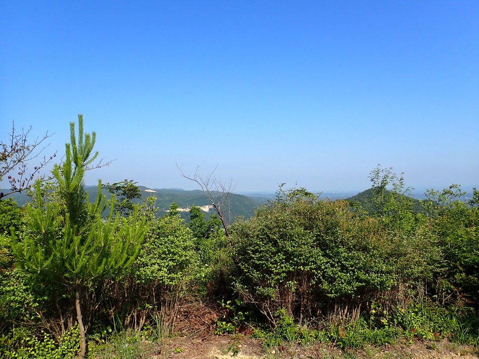 P6174960_mid.jpg