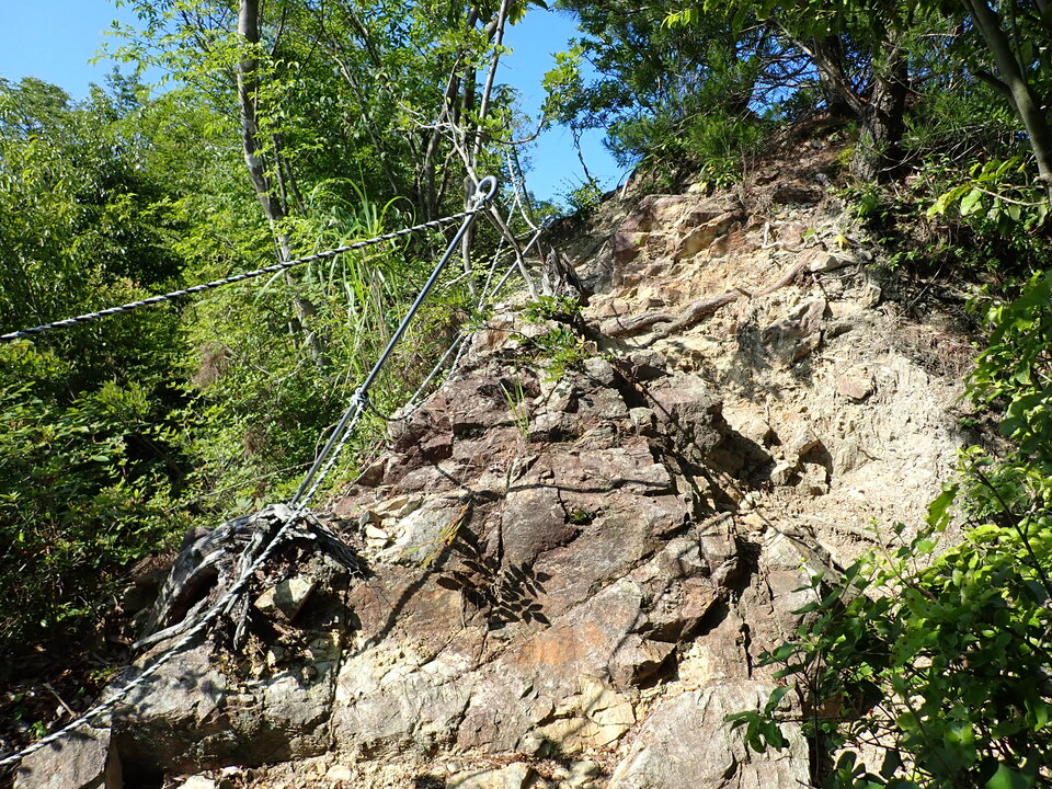 P6174970_mid.jpg