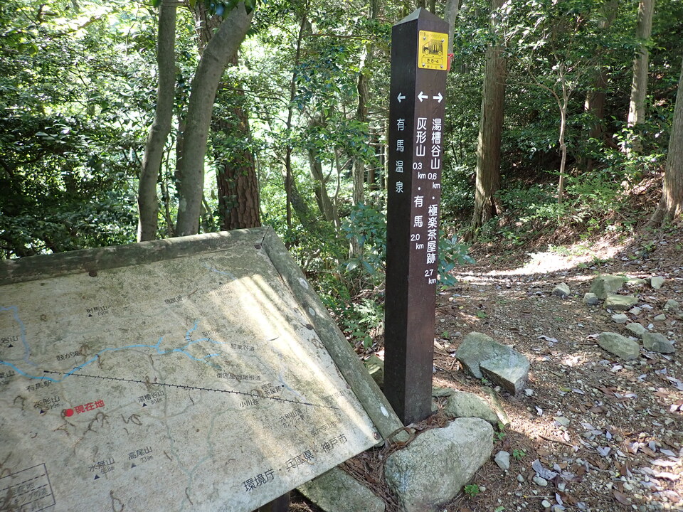 P6174999_mid.jpg