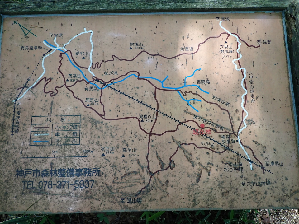 P6175074_mid.jpg
