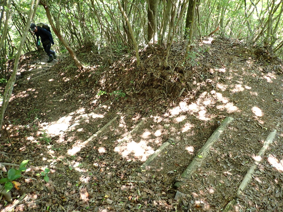 P6175197_mid.jpg