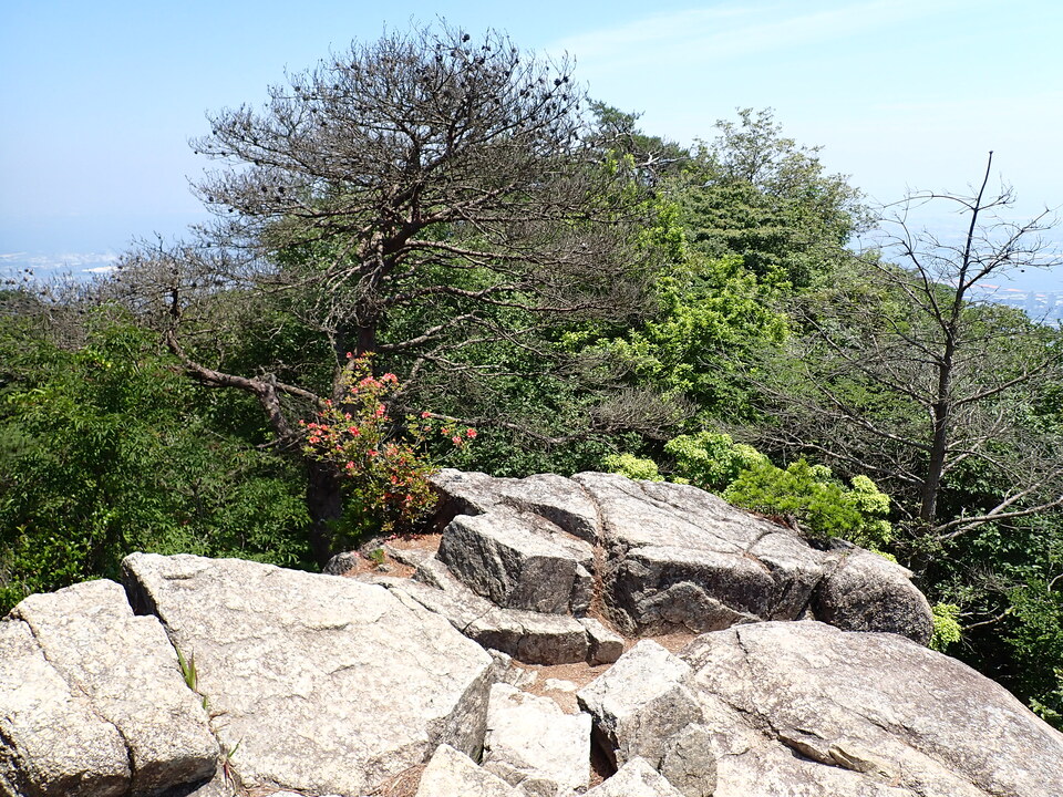 P6175213_mid.jpg