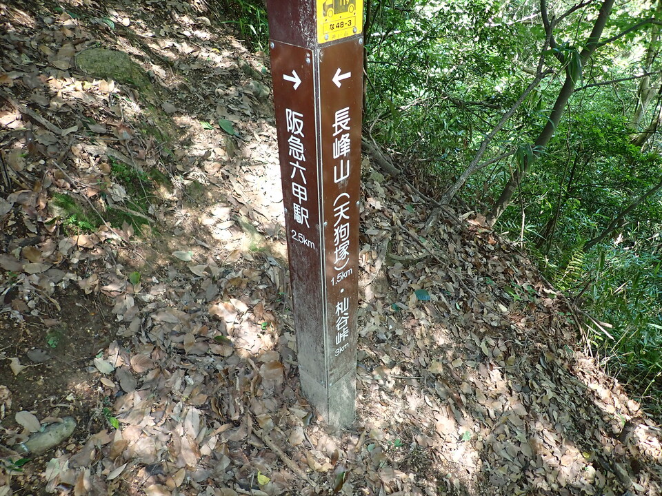 P6175264_mid.jpg