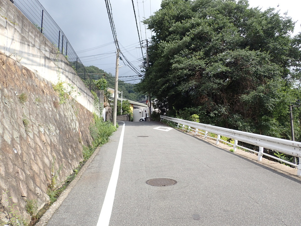 P8206163_mid.jpg