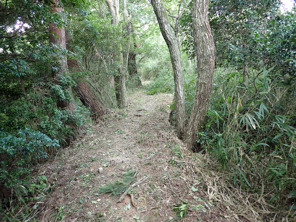 P8206250_mid.jpg