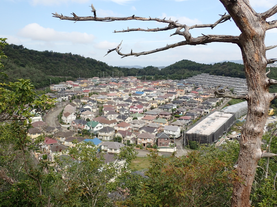 P9096365_mid.jpg
