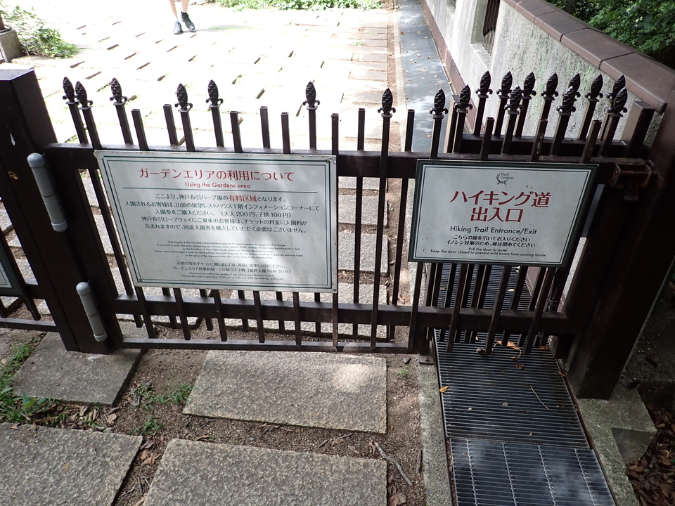 P9096394_mid.jpg