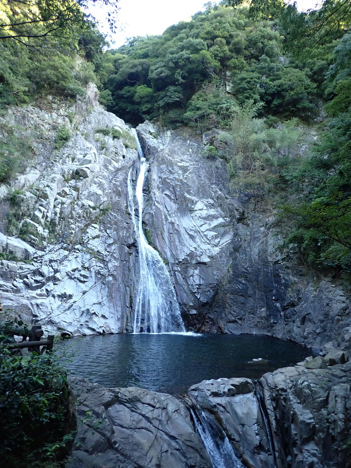 P9246463_mid.jpg