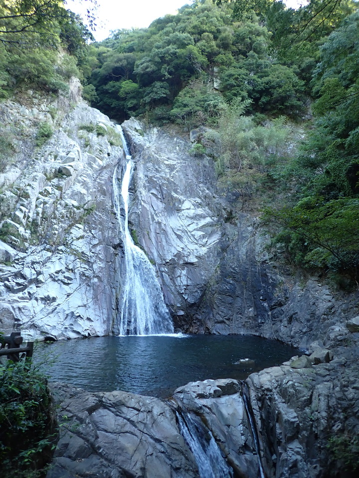 P9246467_mid.jpg