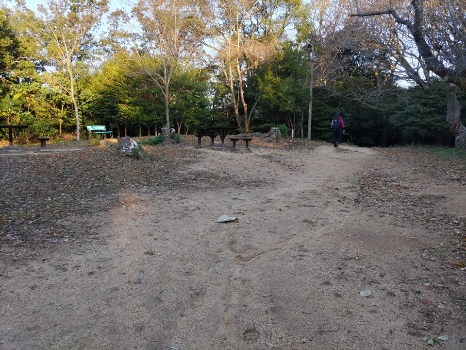 DSC_2159_mid.jpg