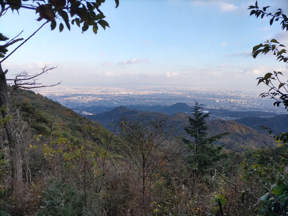 DSC_2283_mid.jpg