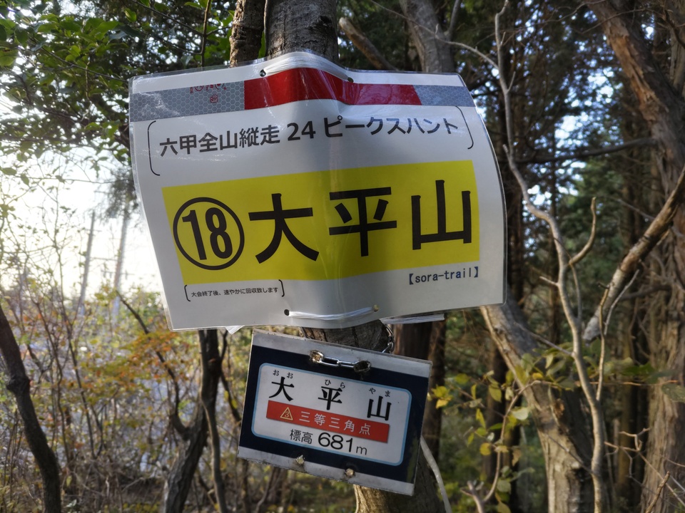DSC_2287_mid.jpg