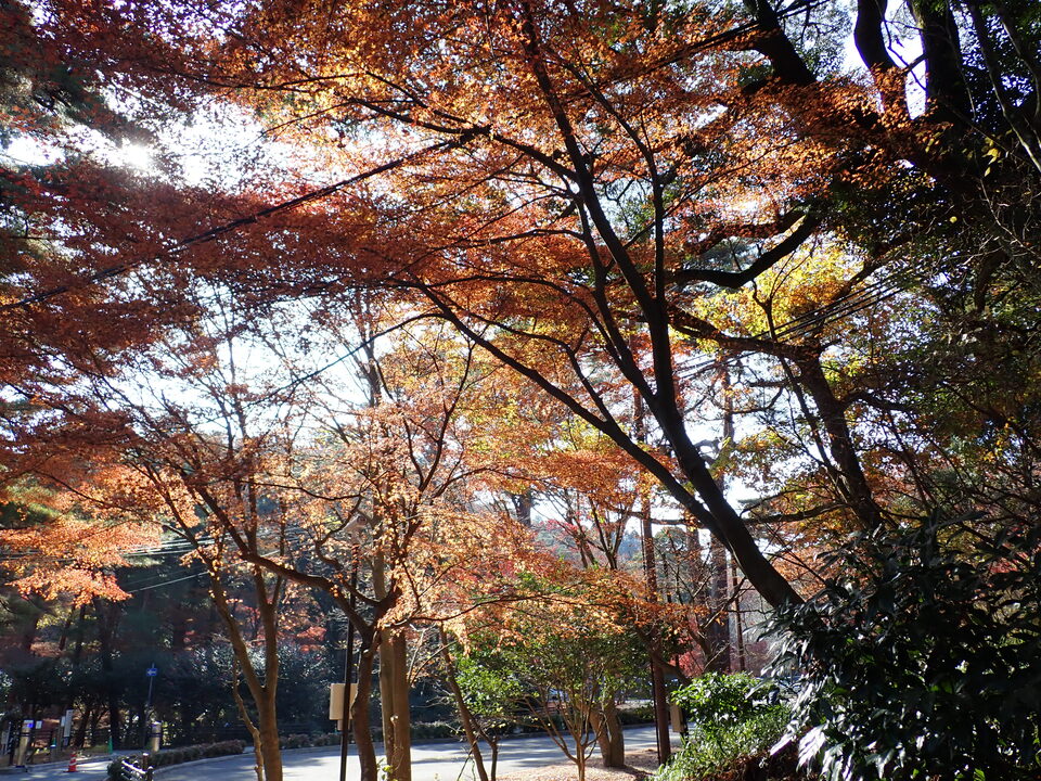 PC036899_mid.jpg