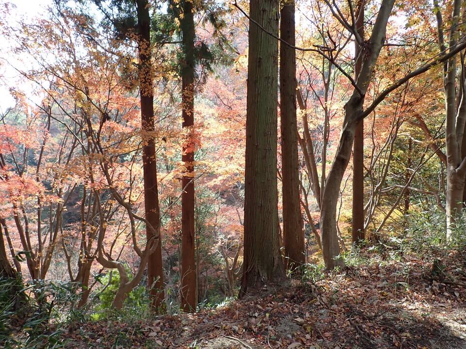 PC036949_mid.jpg