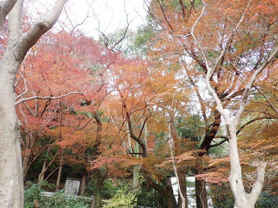 PC036986_mid.jpg